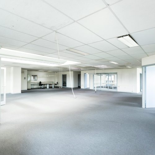 pexels-reneterp-2505120 pexels-reneterp-2505120